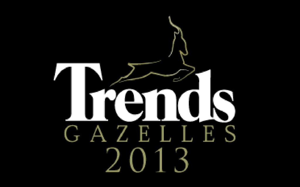 Trends Gazelles 2013