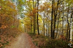 Les Ardennes en automne (7).jpg
